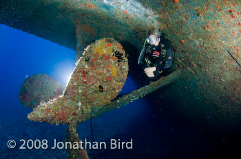 Charlie Brown Shipwreck [--]