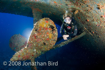 Charlie Brown Shipwreck [--]