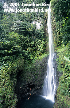 Middleham Falls [--]