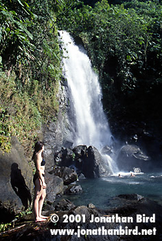 Trafalgar Falls [--]