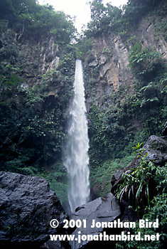 Sari Sari Falls [--]