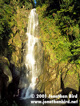 Trafalgar Falls [--]