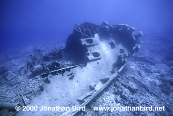 USS Macaw Wreck [--]