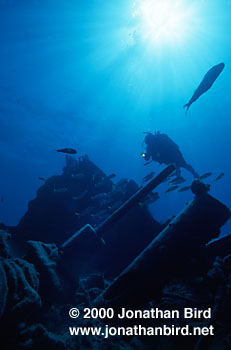 USS Macaw Wreck [--]