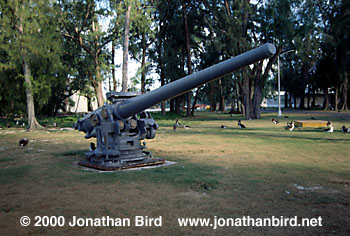 Midway Gun [--]