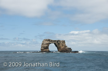  Darwin's Arch [--]