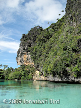 Raja Ampat Island [--]