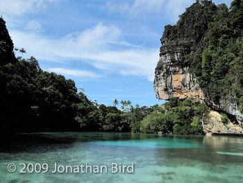 Raja Ampat Island [--]