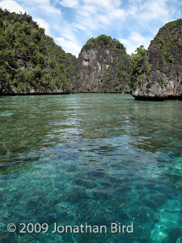 Raja Ampat Island [--]