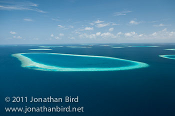 Coral Atoll [--]