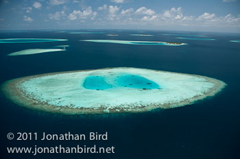Coral Atoll [--]