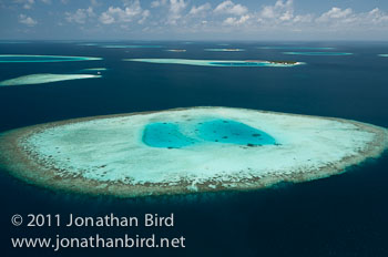 Coral Atoll [--]