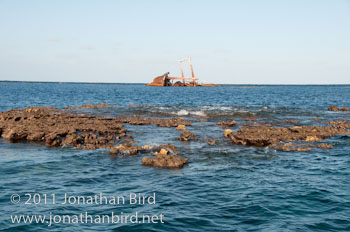 Silver Banks Reef [--]