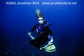 Scuba Diver [--]