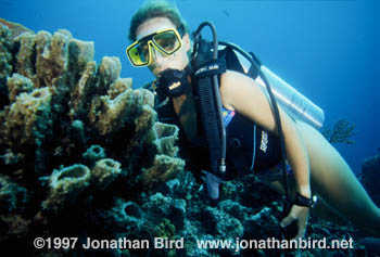 Scuba Diver [--]