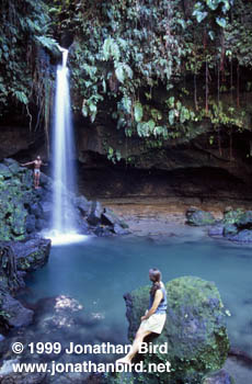 Dominica Waterfall [--]