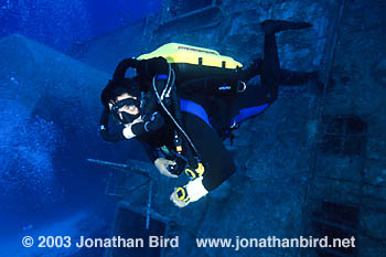 Rebreather Diver [--]