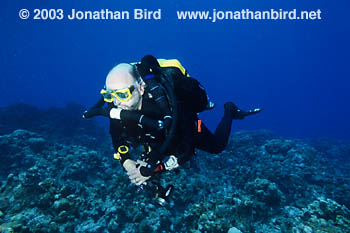 Rebreather Diver [--]