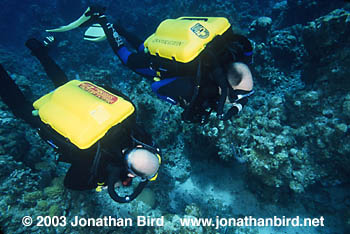 Rebreather Diver [--]