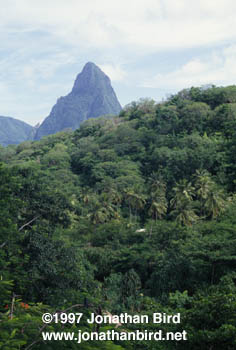 Pitons Mountains [--]