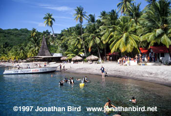 St. Lucia Beach [--]