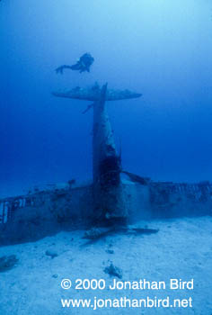 F4-U Airplane Wreck [--]