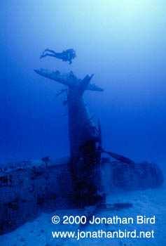 F4-U Airplane Wreck [--]