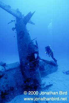 F4-U Airplane Wreck [--]