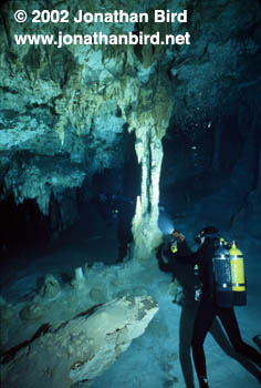 Dos Ojos Cenote [--]