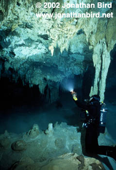 Dos Ojos Cenote [--]