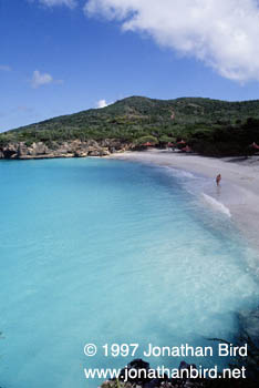 Caribbean Beach [--]