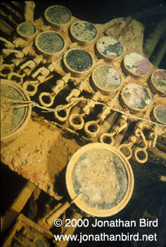 ship Wreck [--]