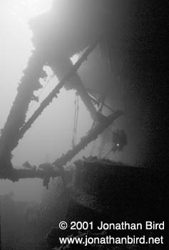 Prinz Eugen Wreck [--]