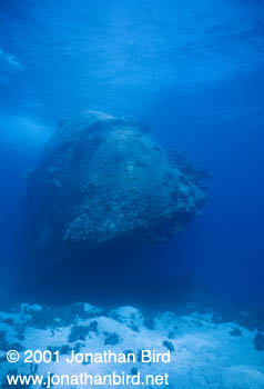 Prinz Eugen Wreck [--]