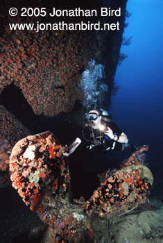 WIT Shoal Wreck [--]