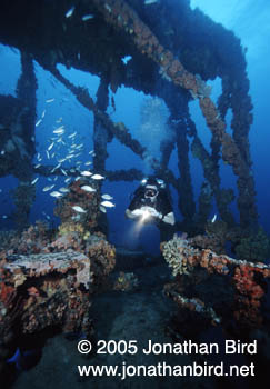 WIT Shoal Wreck [--]