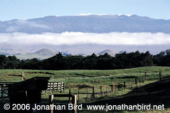 Mauna Kea Volcano [--]