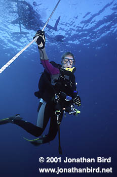 Scuba Diver [--]