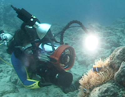 animal behavior is a big part o...