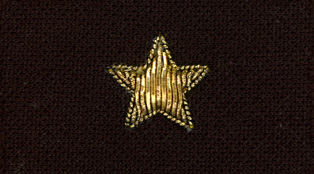 5yrstar.jpg (33403 bytes)