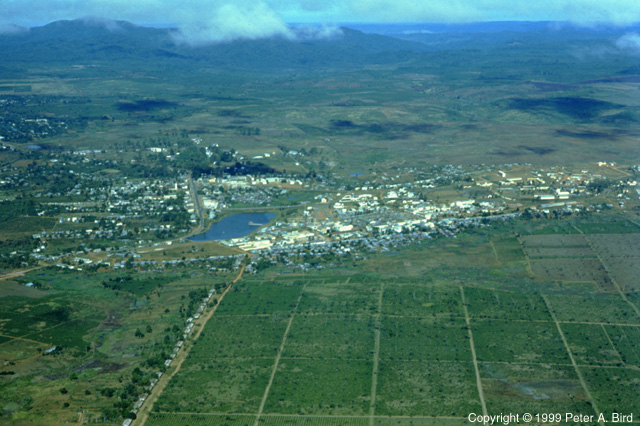 dalatcamly1.jpg (142486 bytes)