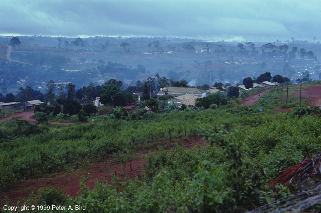 giangiah3.jpg (128841 bytes)